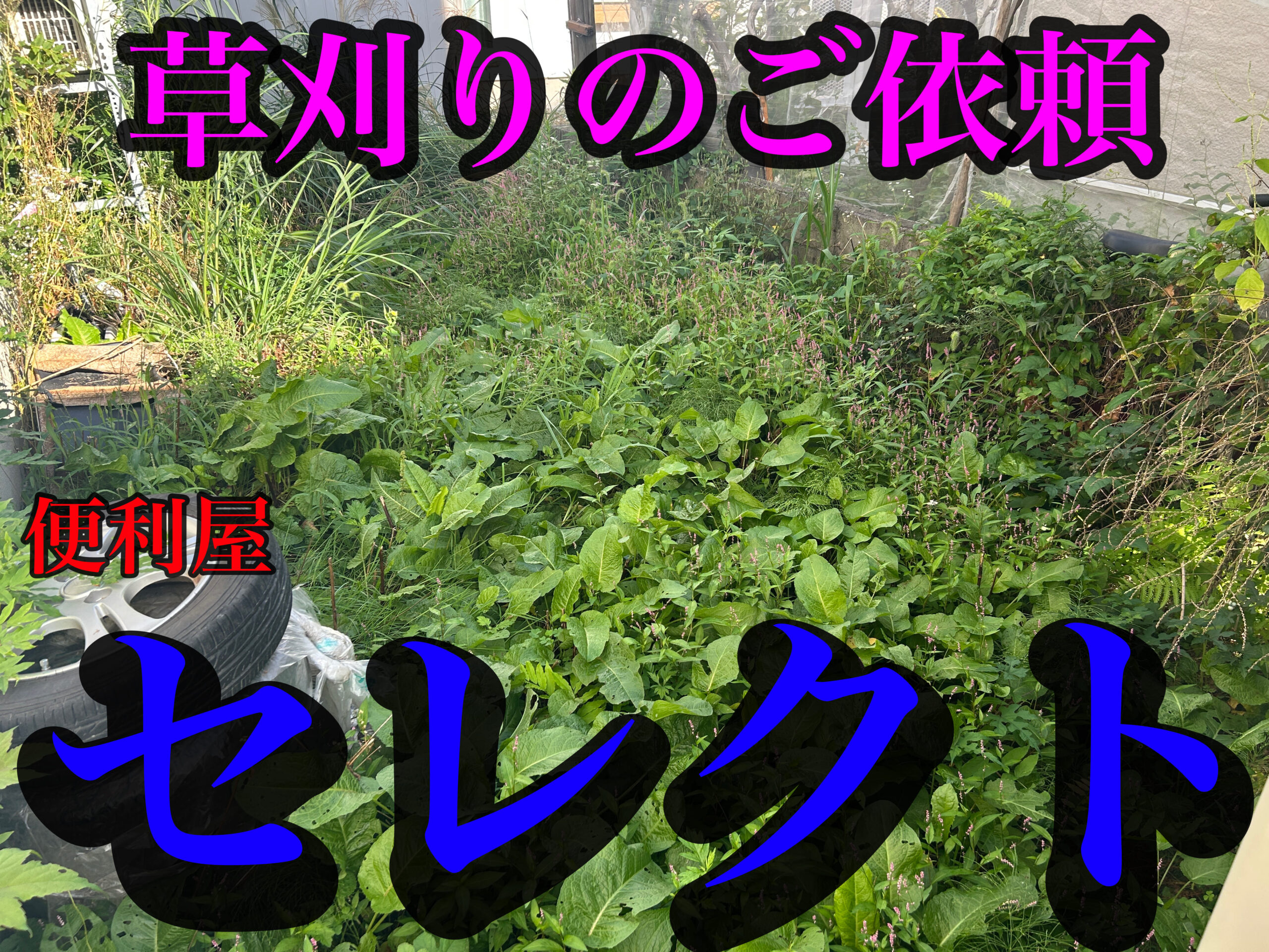青森市の草刈り、庭木伐採、不用品回収お任せ下さい💪