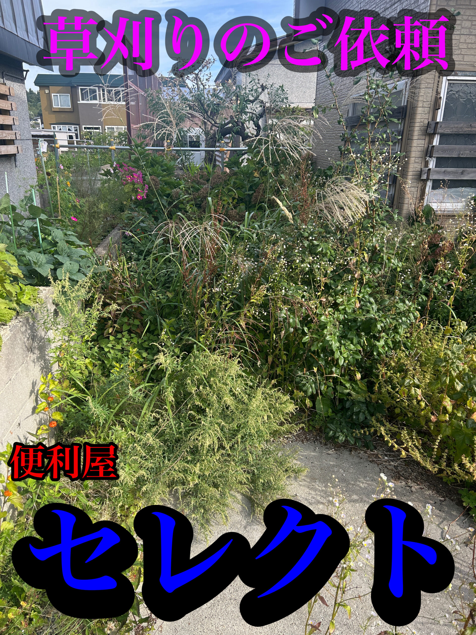 青森市の草刈り、不用品回収、遺品整理お任せください💪